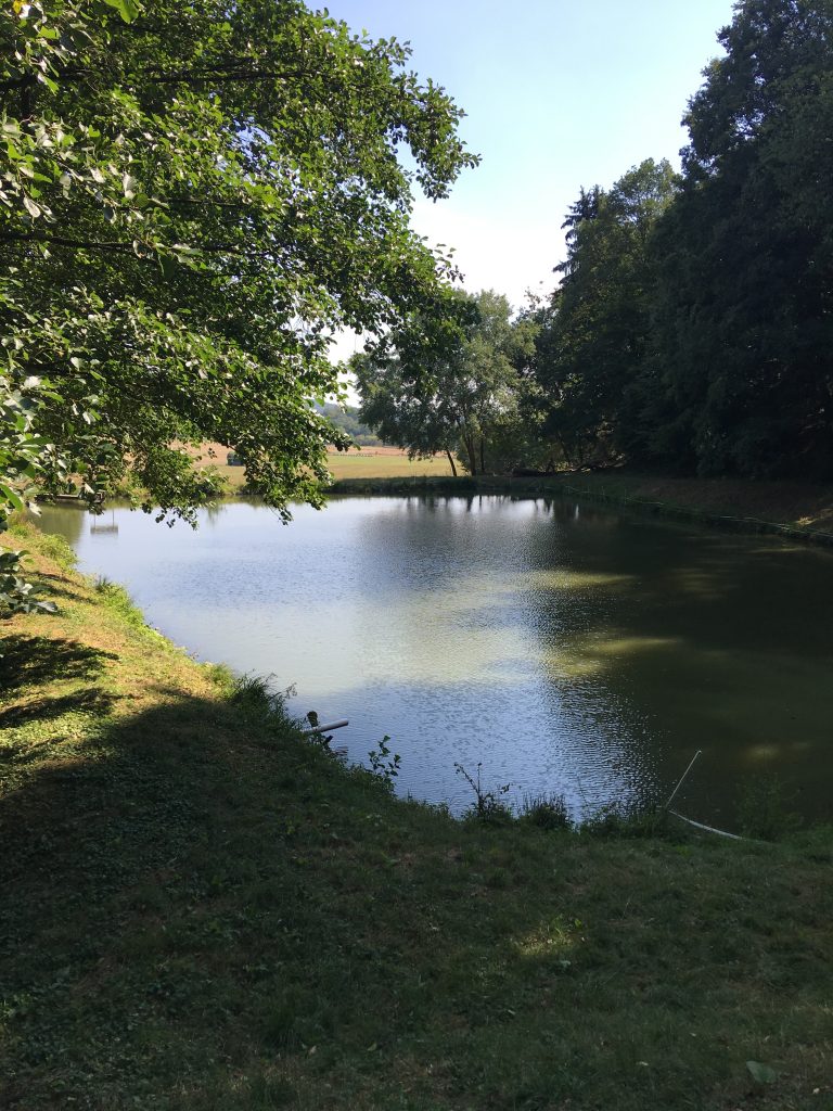 Teiche Salgebach Angelverein Ruttershausen e.V.